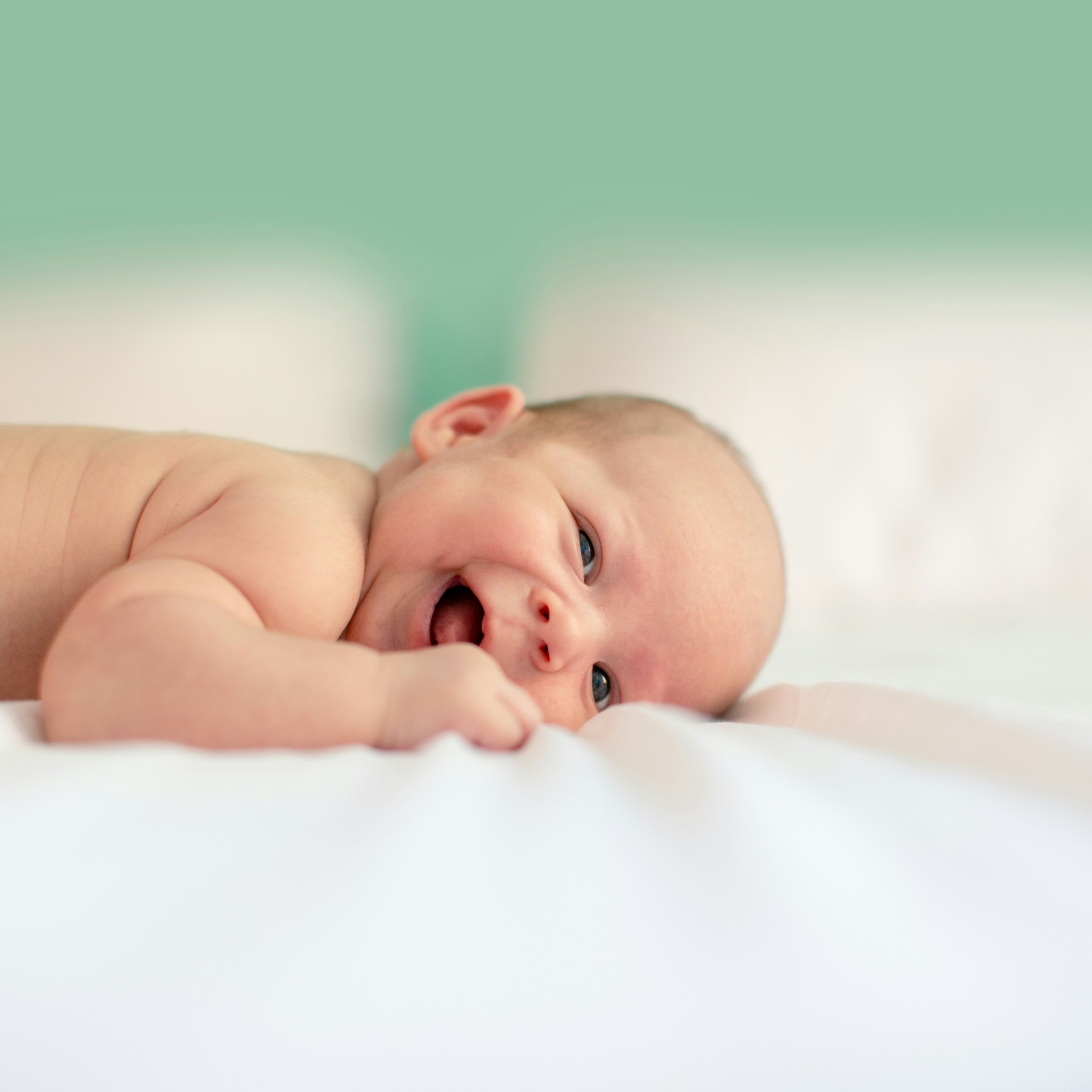 The Newborn Care Solutions Agency